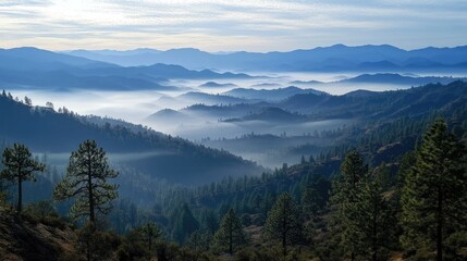 Fototapeta premium Stanislaus National Forest. Emigrant Wilderness Adventure in the Sierra Nevada Mountains