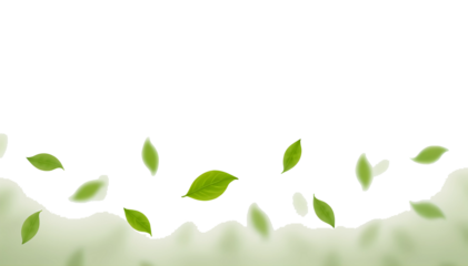 Illustration of green leaves floating on a soft background, isolated on white or transparent png, ideal for nature and eco-friendly themes.