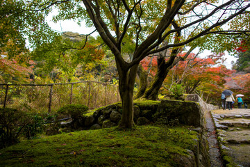 Autumn scenery of Saimyoji Temple in Shiga Prefecture, Japan