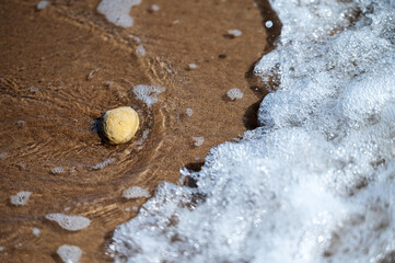 Waves gently lap at a small stone along the sandy shore in Morocco's coastline