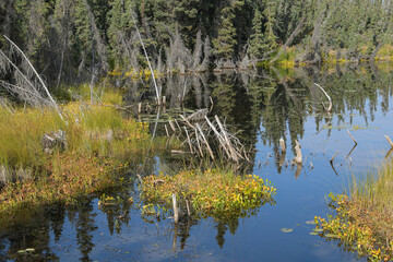 Auftauender Permafrostboden  und die Freisetzung von Methangasen sind  eine Gefahr für die Umwelt