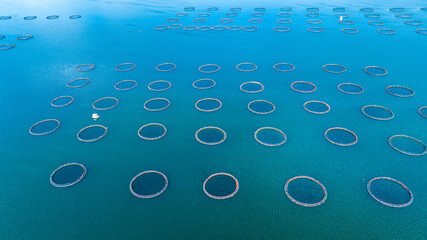 Fish Farming Pools on the Firat River, Birecik, Sanliurfa, Turkey