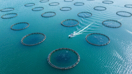Fish Farming Pools on the Firat River, Birecik, Sanliurfa, Turkey