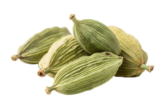 Elaichi, Cardamom, Cardamoma, Cardamom Powder, Ground Cardamom, Black Cardamom, Green Cardamom, Cardamom Spice, Elaichi Price, Cardamom Price, Badi Elaichi, Cardamom Seed, Cardamom Seasoning, Ilaichi