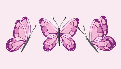 Purple or pink butterfly set vector illustration on pink background design,card,portes,banner,wrapping paper, decoration,printing,celebration.