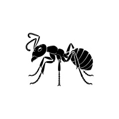Ant Silhouette Vector