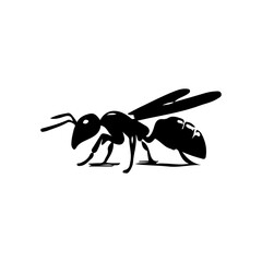 Ant Silhouette Vector