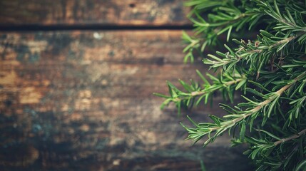 Naklejka premium Fresh rosemary herb in a wooden plate on a white wood. Bunch of fresh fragrant rosemary. Spices and herbs for meat and fish. Recipe. Culinary concept.Organic herbs.Place for text. Space for copy.