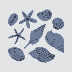 Marine seashells set. Underwater shellfish, starfish, beach shells, clam, mollusk, oyster, cowrie. Sea collection, summer mood. Vector flat cartoon illustration
