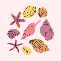 Marine seashells set. Underwater shellfish, starfish, beach shells, clam, mollusk, oyster, cowrie. Sea collection, summer mood. Vector flat cartoon illustration