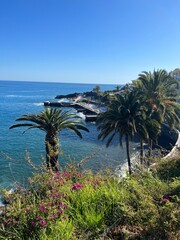 Fototapeta premium scenic view of the coast of Madeira, Portugal