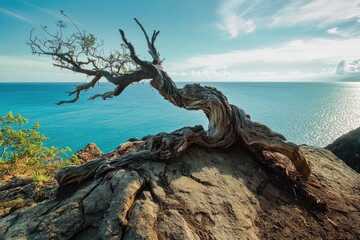 Obraz premium Virgin Islands National Park: Trunk Bay Overlook on St. John Island, United States