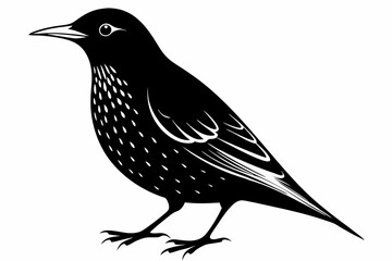 european starling line art silhouette vector illustration