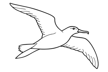 flying albatross line art silhouette vector illustration