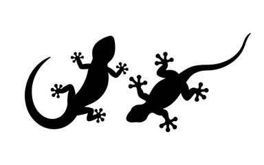 Cute gecko silhouette vector flat illustration design on white background. Two black gecko vector.