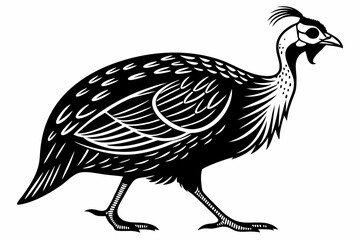 guinea fowl line art silhouette vector illustration