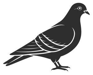 Pigeon silhouette vector illustration