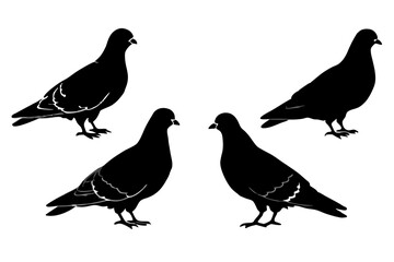 set of Pigeon silhouette vector illustration
