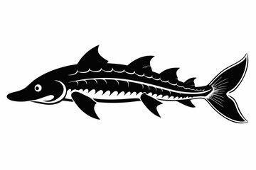lake sturgeon line art silhouette vector illustration