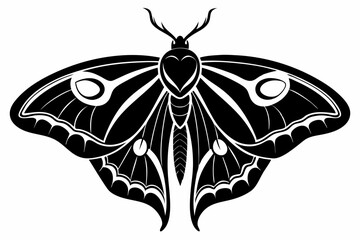 luna moth line art silhouette vector illustration