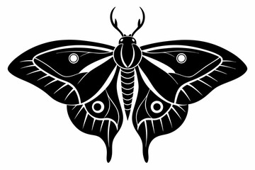 luna moth line art silhouette vector illustration