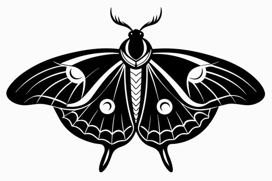 recommend clip art: luna moth line art silhouette vector illustration