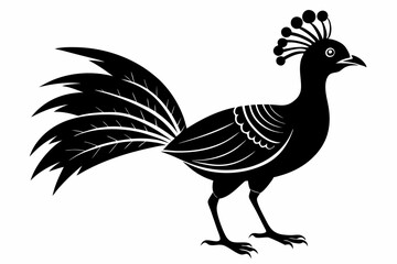lyrebird line art silhouette vector illustration