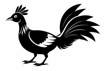 lyrebird line art silhouette vector illustration