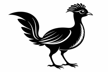 lyrebird line art silhouette vector illustration