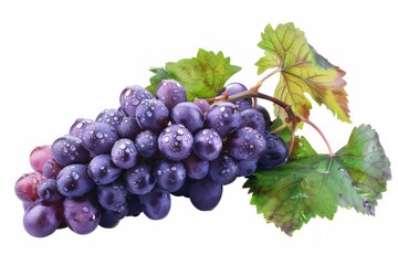 Fototapeta premium Cluster of purple grapes with leaf on white background. AI generated
