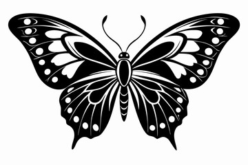 morpho butterfly line art silhouette vector illustration