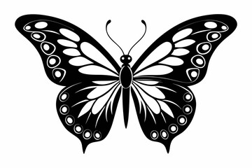 morpho butterfly line art silhouette vector illustration