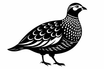 northern bobwhite line art silhouette vector illustration
