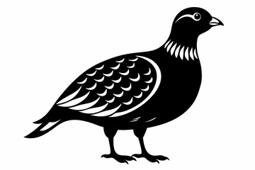 northern bobwhite line art silhouette vector illustration