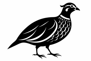 northern bobwhite line art silhouette vector illustration