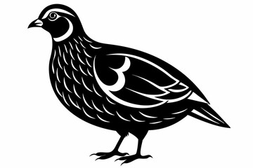 northern bobwhite line art silhouette vector illustration