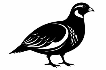 northern bobwhite line art silhouette vector illustration