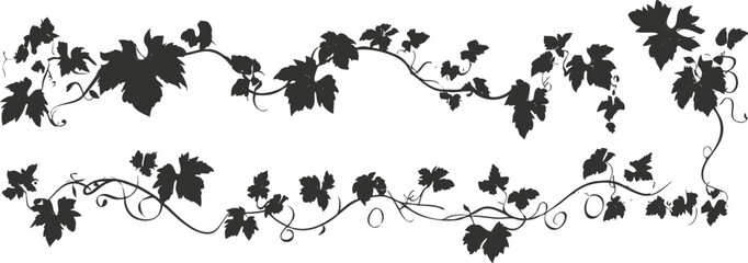 Silhouette of grapevine borders with leaves and twisting vines