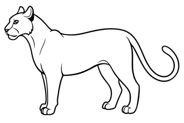puma line art silhouette vector illustration