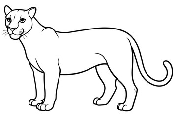 puma line art silhouette vector illustration