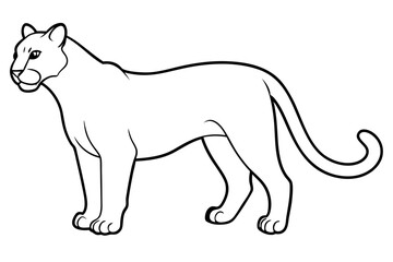 puma line art silhouette vector illustration