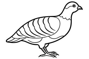 quail line art silhouette vector illustration