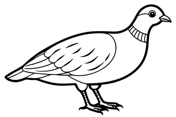 quail line art silhouette vector illustration