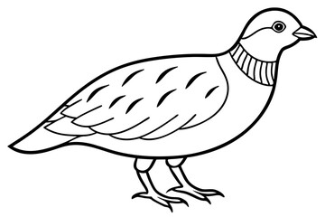 quail line art silhouette vector illustration