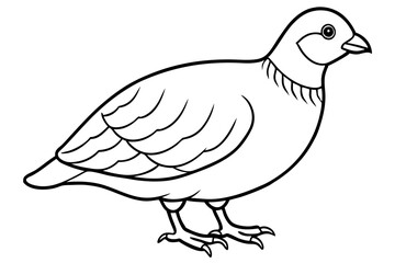 quail line art silhouette vector illustration