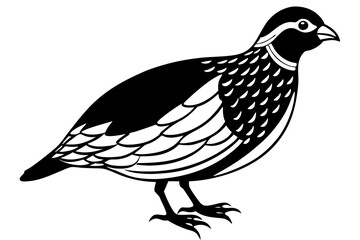 quail line art silhouette vector illustration