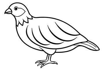 quail line art silhouette vector illustration
