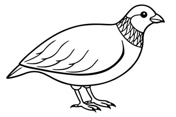 quail line art silhouette vector illustration