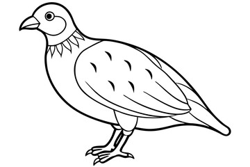 quail line art silhouette vector illustration