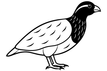 quail line art silhouette vector illustration
